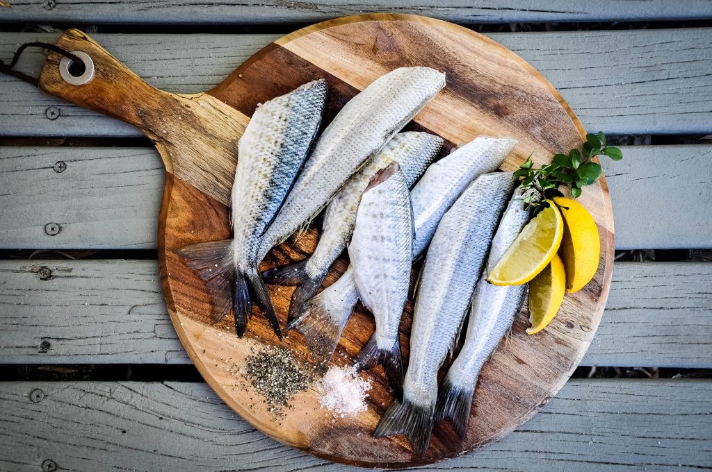 FIPE-Confcommercio sostiene il Festival del pesce d’acqua dolce. Stoppani: “Valorizziamo l’agroalimentare sostenibile”